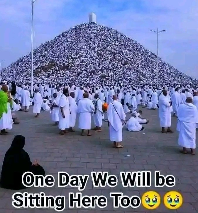 vermerlleey tweet media