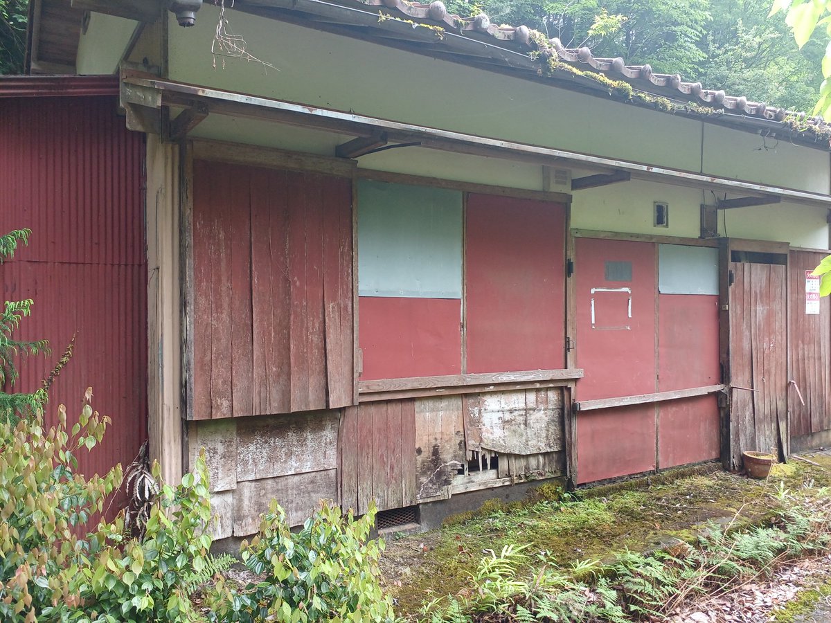 黄色の6番 tweet media