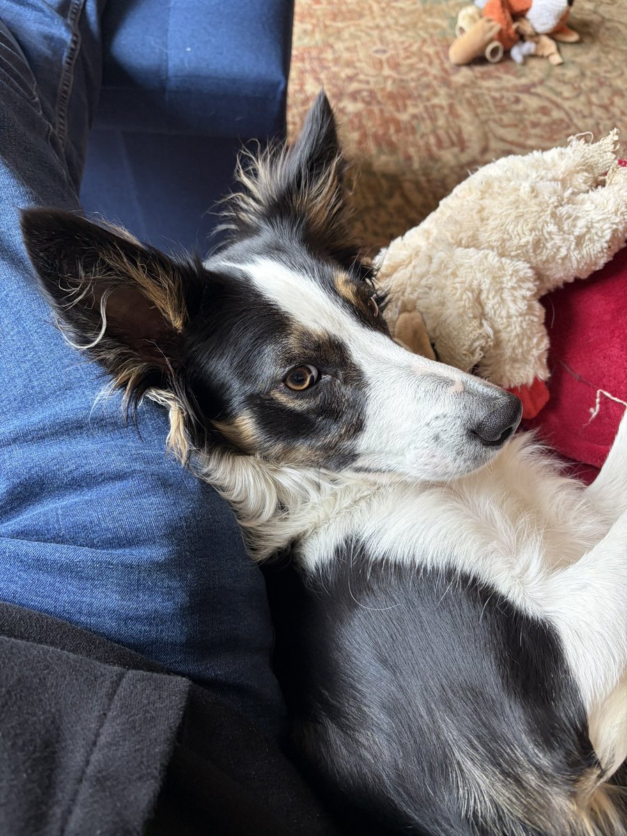 ☠️ Matt 👾 tweet media