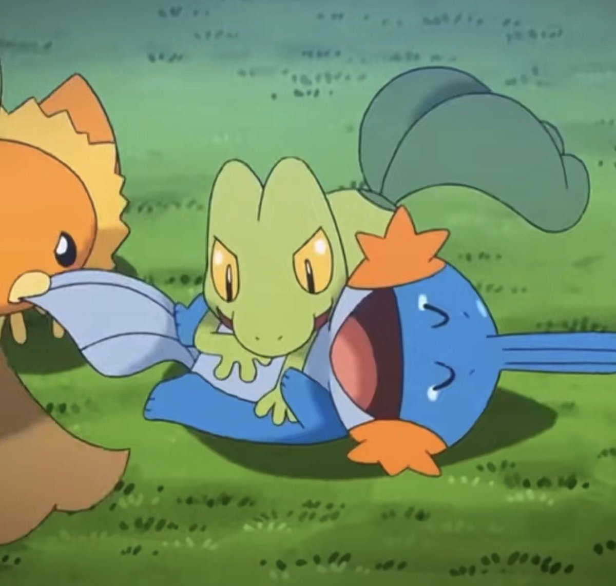 kipzo🐾☘️ tweet media