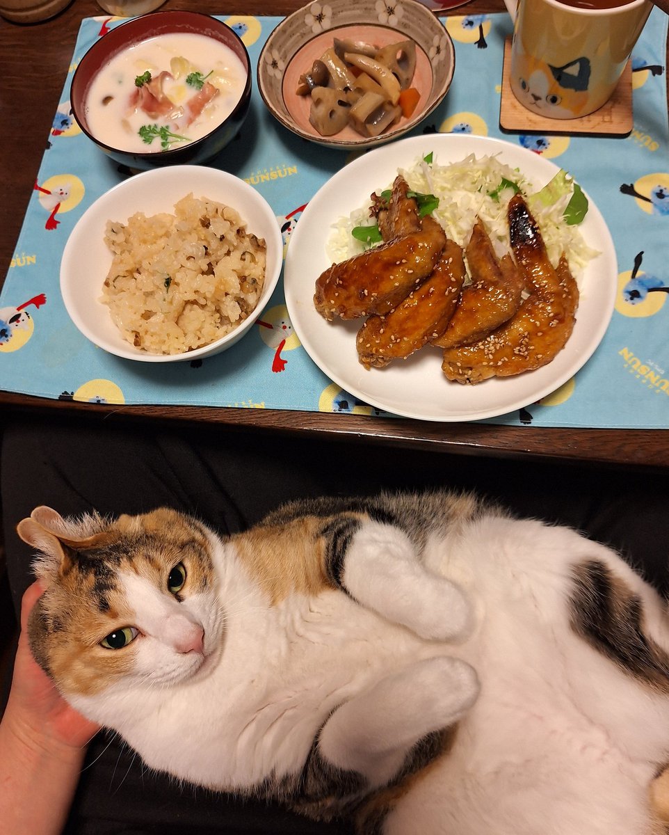 kawaii_nekoniko's tweet photo. 手羽先とミルクスープたべました https://t.co/wmIXwkuMTq
