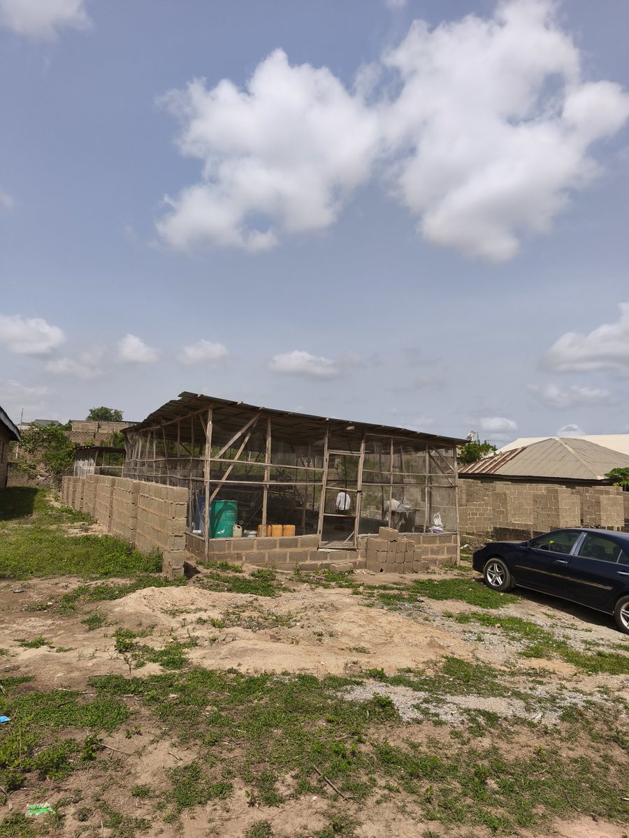 POME⛩️AIYA⛩️ tweet media