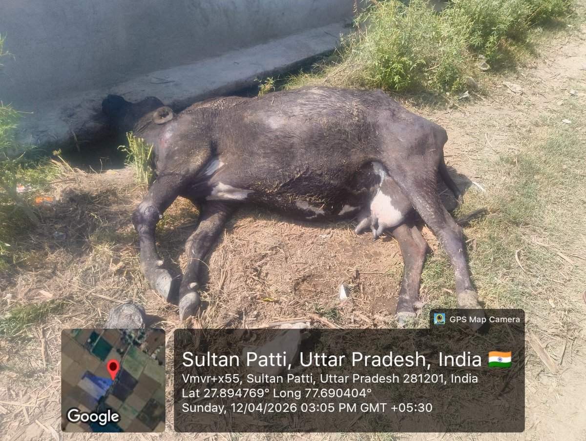 Arjun kumar tweet media