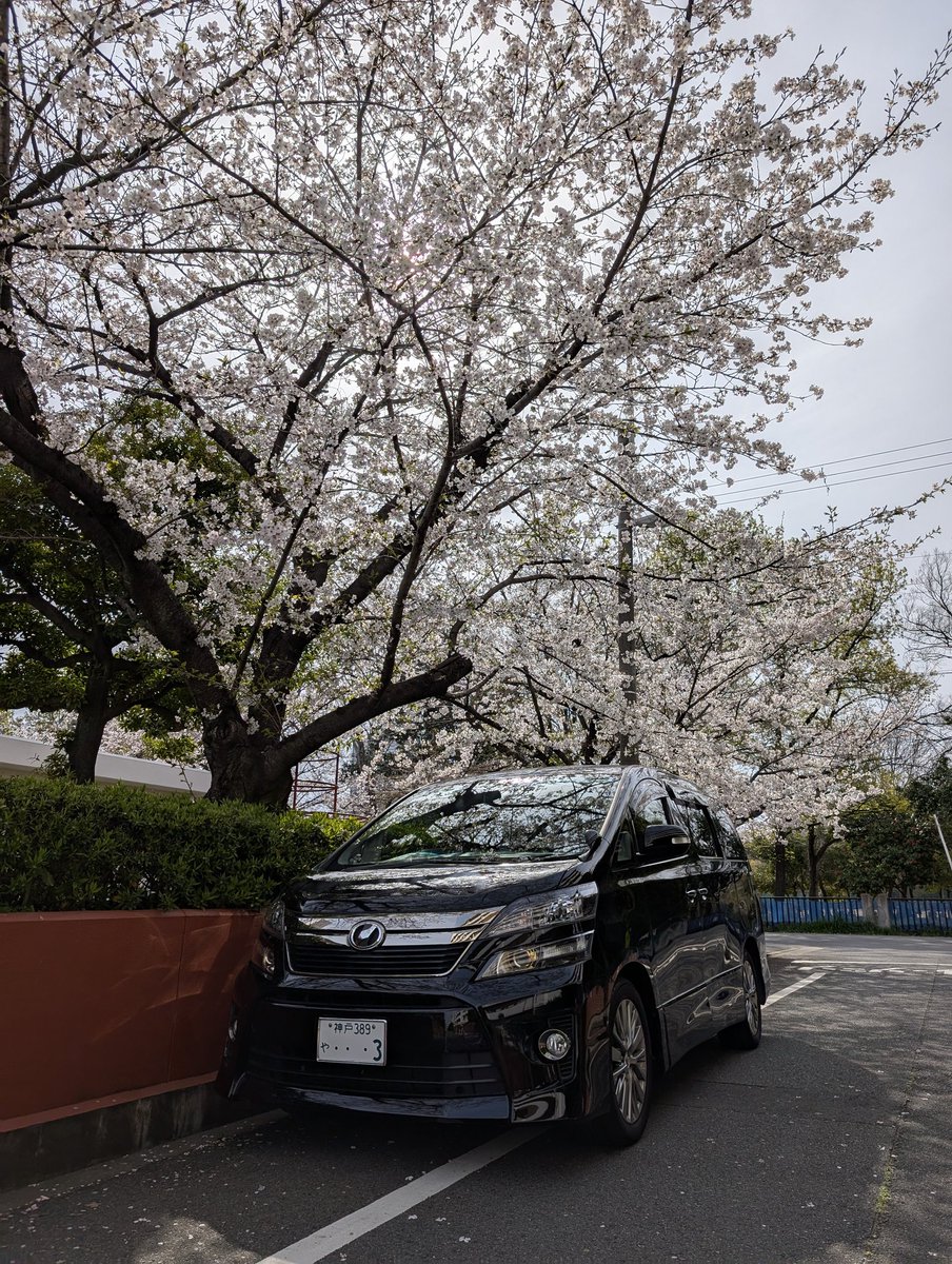 Masa_9100's tweet photo. 諸事情により昨年からまた車乗り始めました…
1年半で車無し男卒業！ https://t.co/5z5ZnUEXJ8