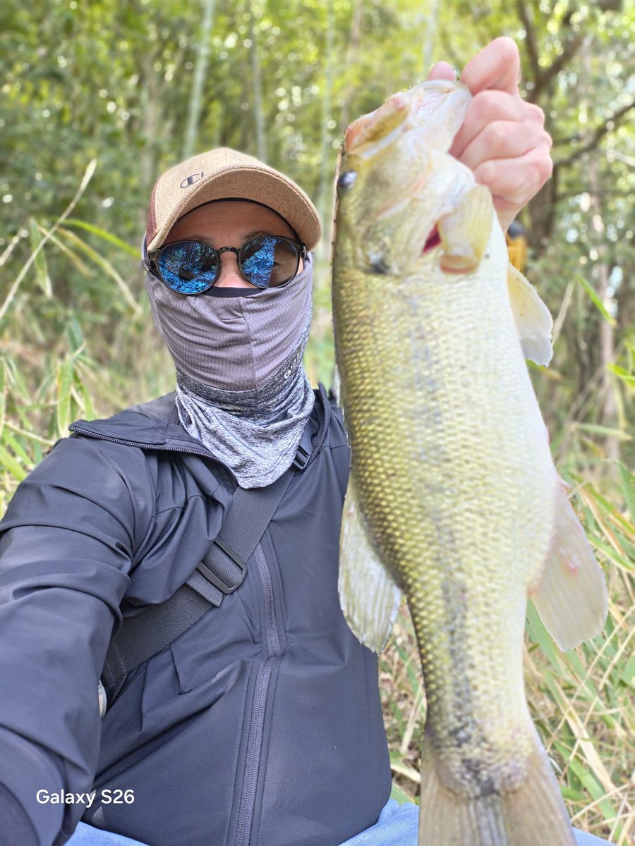 WEVA2019's tweet photo. wellaから釣果報告します！ 

釣行日 26.4.12
場所 岡山県  ため池
天気 晴れ
時間 ?
気温 ?
水温 ?
ルアー
レイドジャパン/スーパーフィッシュローラー3.5/ミドスト
ボトムアップ/mps2.4/ダウンショット0.9g

1.size 42cm / weight ？g
2. size 44cm / weight ？g 

#レイドジャパン
#ボトムアップ https://t.co/1irGVj1VKR