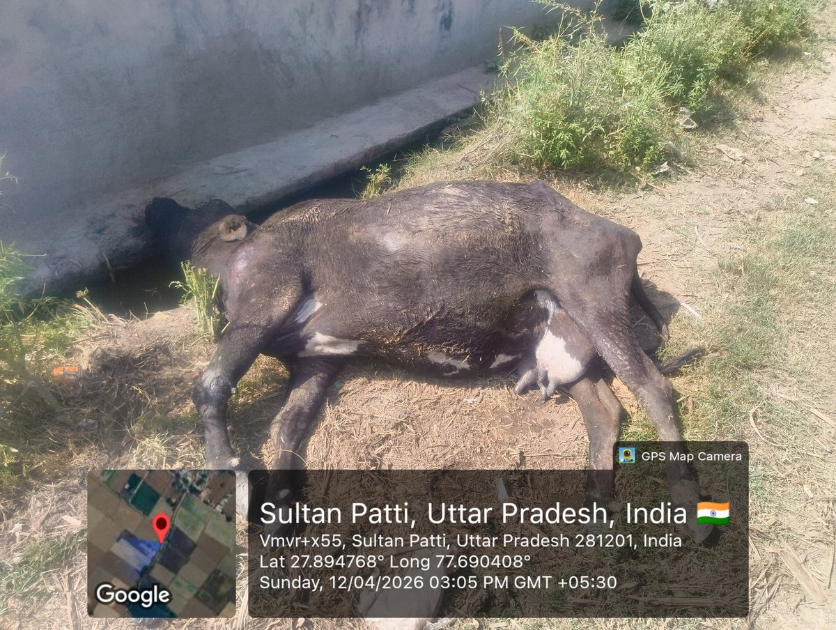 Arjun kumar tweet media