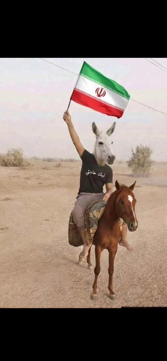 ابومحمد tweet media