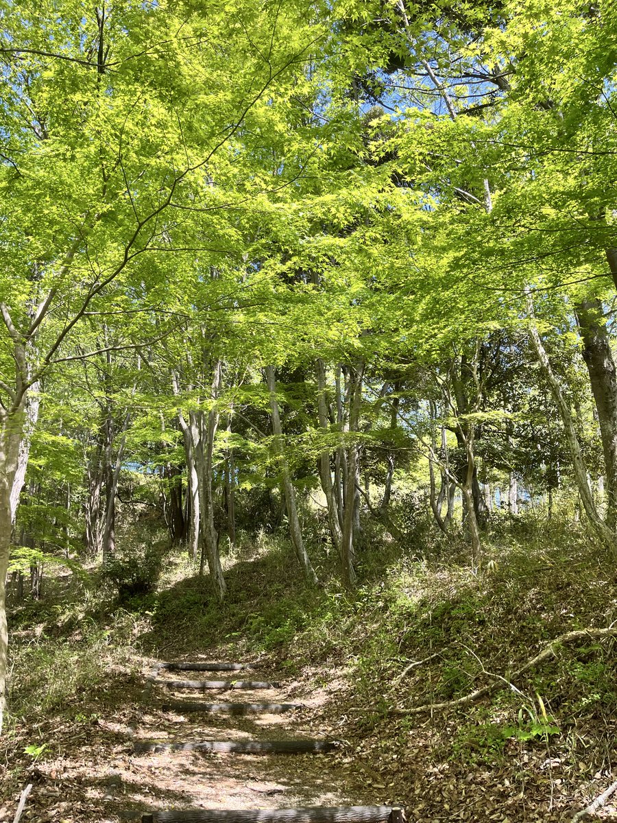 iq9otc's tweet photo. 山で修行してきました⛰️
あったかくてきんもちぃー！
山で食べるおにぎりがうまい🍙 https://t.co/M0u9uY4wM5