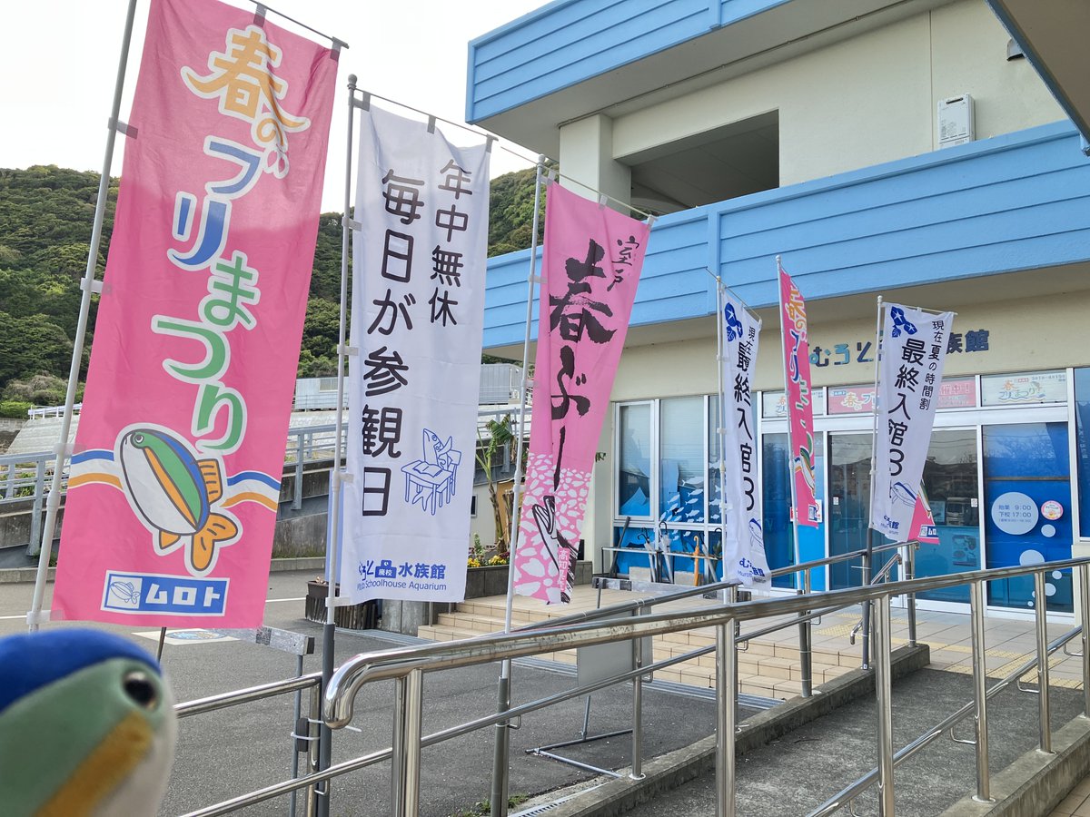 ブリ、世界だよ tweet media