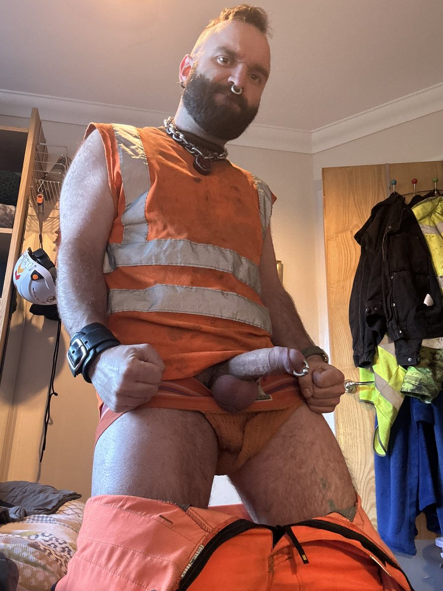 Dash Pigfield 🐷Construction Cub 🐻🦺 tweet media
