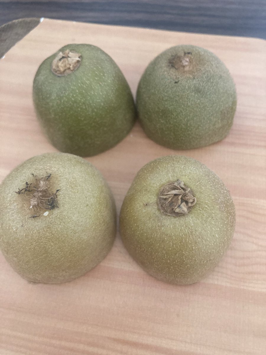 buddiespal's tweet photo. @sainsburys this is the second time I have bought a 4 pack of your taste the difference golden kiwis only to find they are not all golden. Fed up being ripped off.   No I don’t have the receipt or packaging and unlikely to buy again. https://t.co/Q4rVvIdKoh