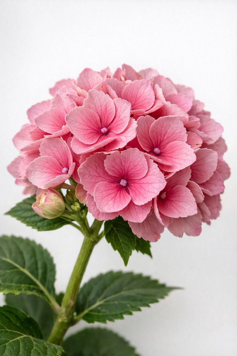 authorelaina's tweet image. Multiverse Tales: 585k+! #blogging #ThankYou  multiversetales.blogspot.com/2026/04/585k.h…