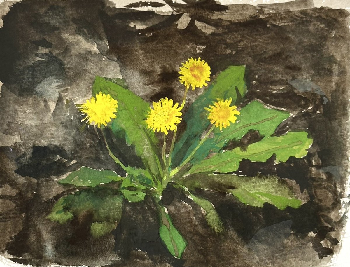 あおニャーマン tweet media