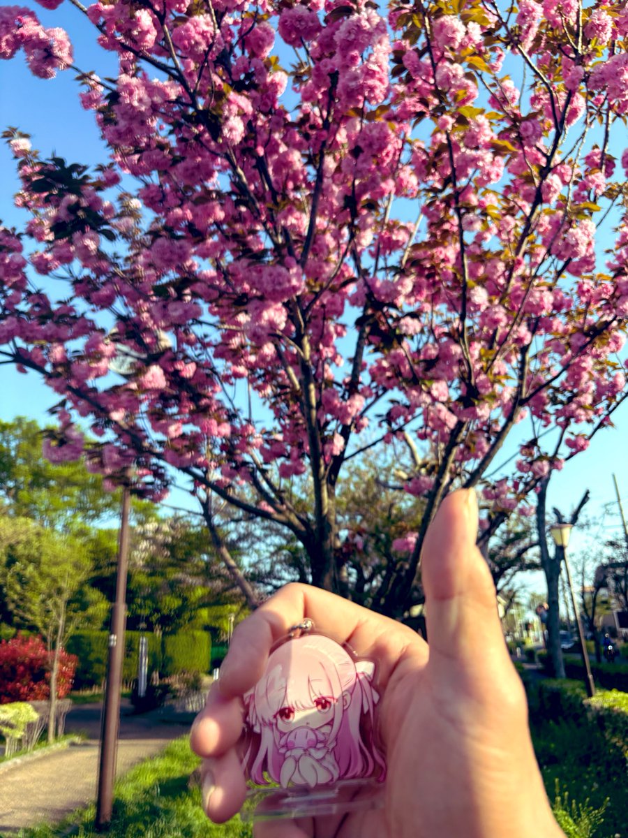 きゅ〜すけ🤍❔ tweet media