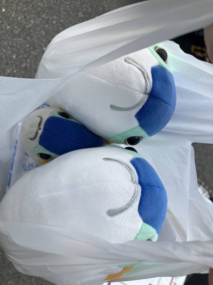 ブリ、世界だよ tweet media