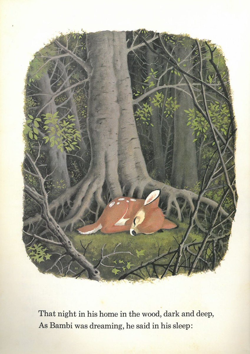 𝒱𝑒𝓁𝑜𝓊𝓇𝒾𝒶✨ tweet media