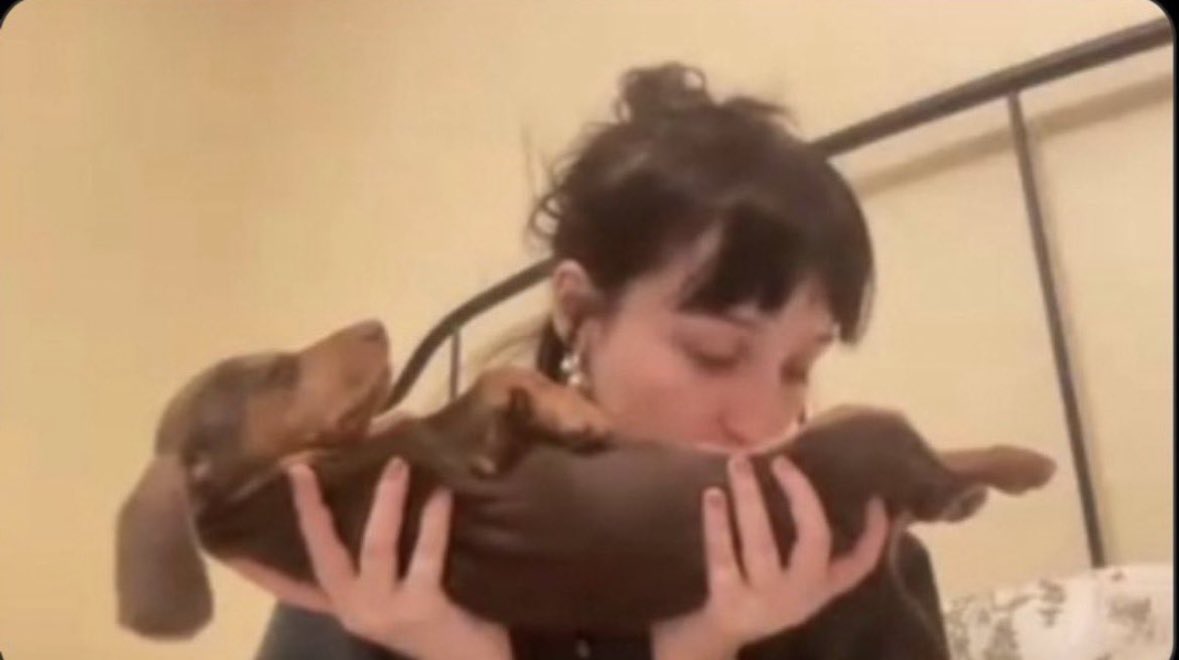 Bern Fand tweet media