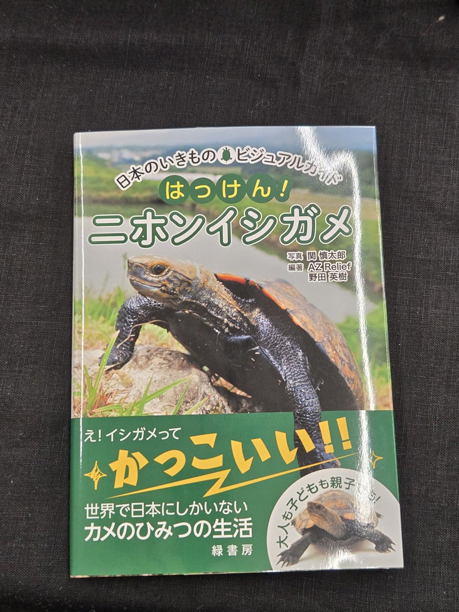 megusarasa's tweet photo. 本を買いました📖
我が家にもニホンイシガメさんが1匹おりますゆえ🙂🐢
ブースに居たヒヨコさんたちがかわいすぎました🐥

#ブリーダーズストリート https://t.co/7p2H4gllh0
