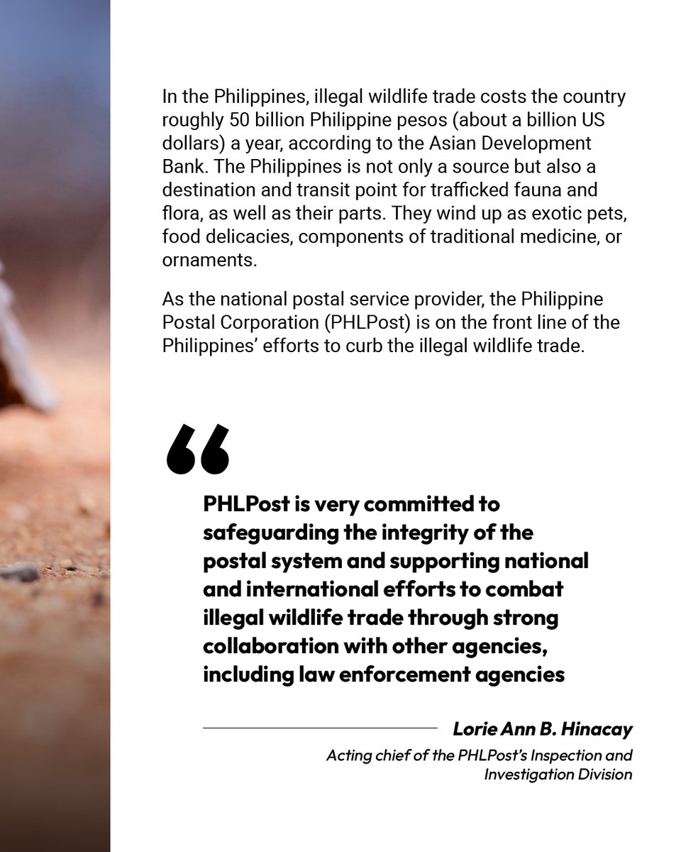 The ASEAN Magazine tweet media