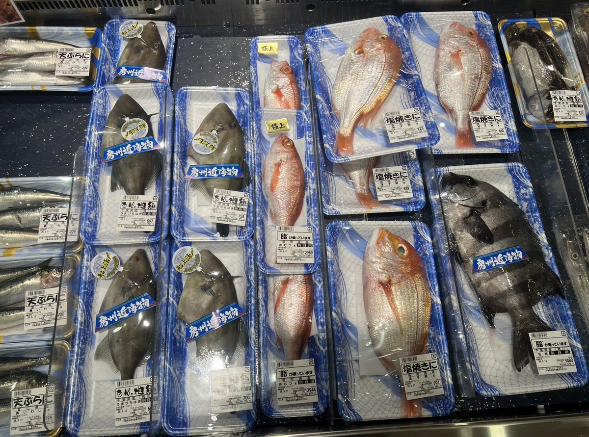 ネコちゃん工務店 tweet media