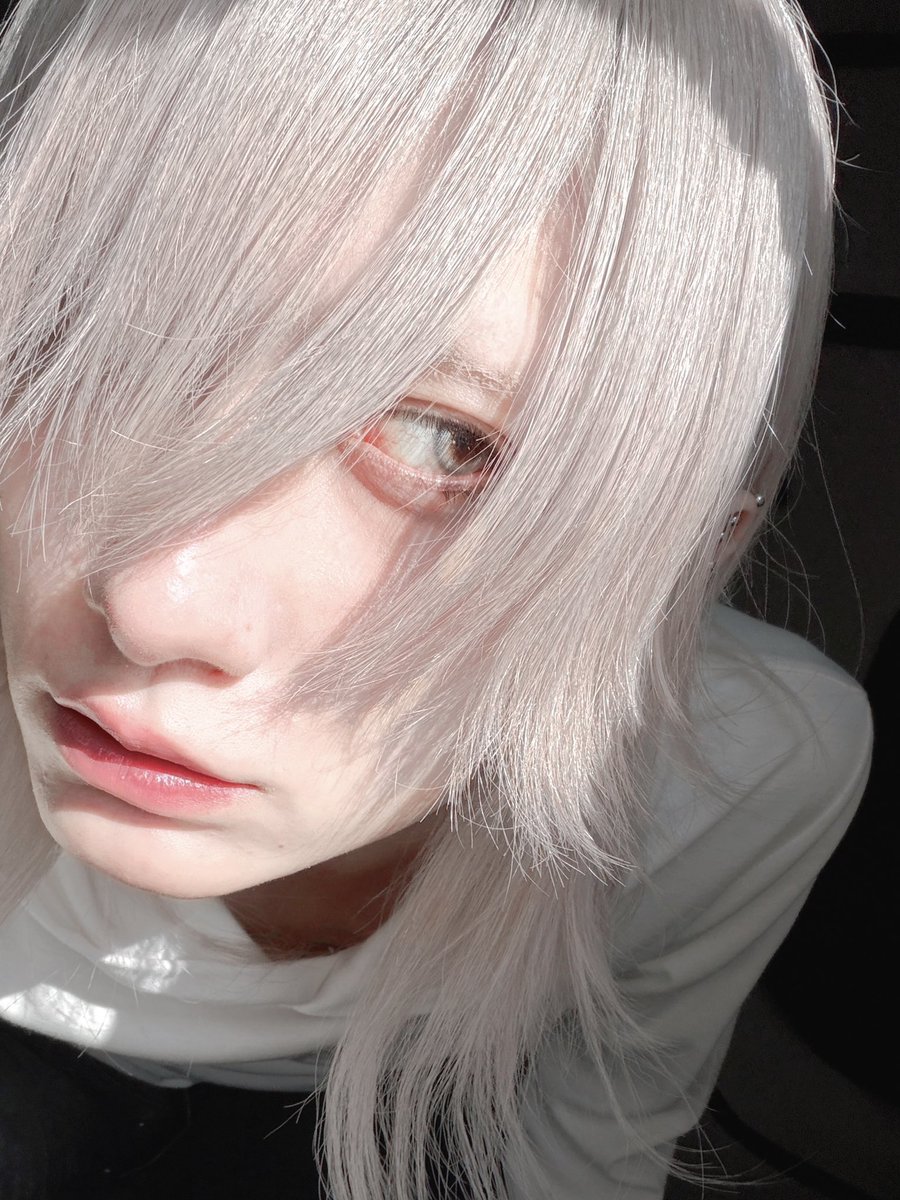 吉井添 tweet media