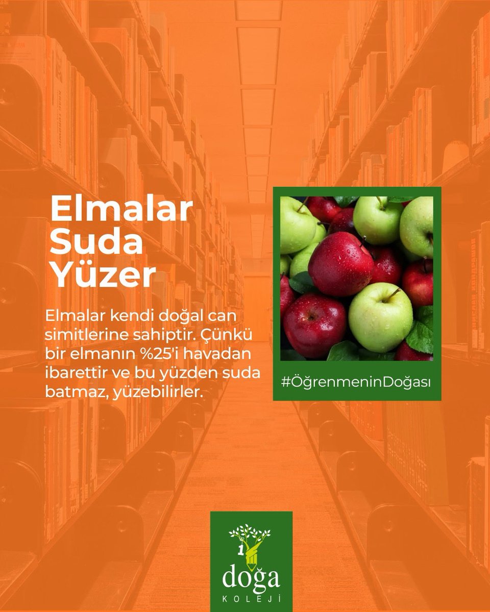 Doğa Koleji tweet media