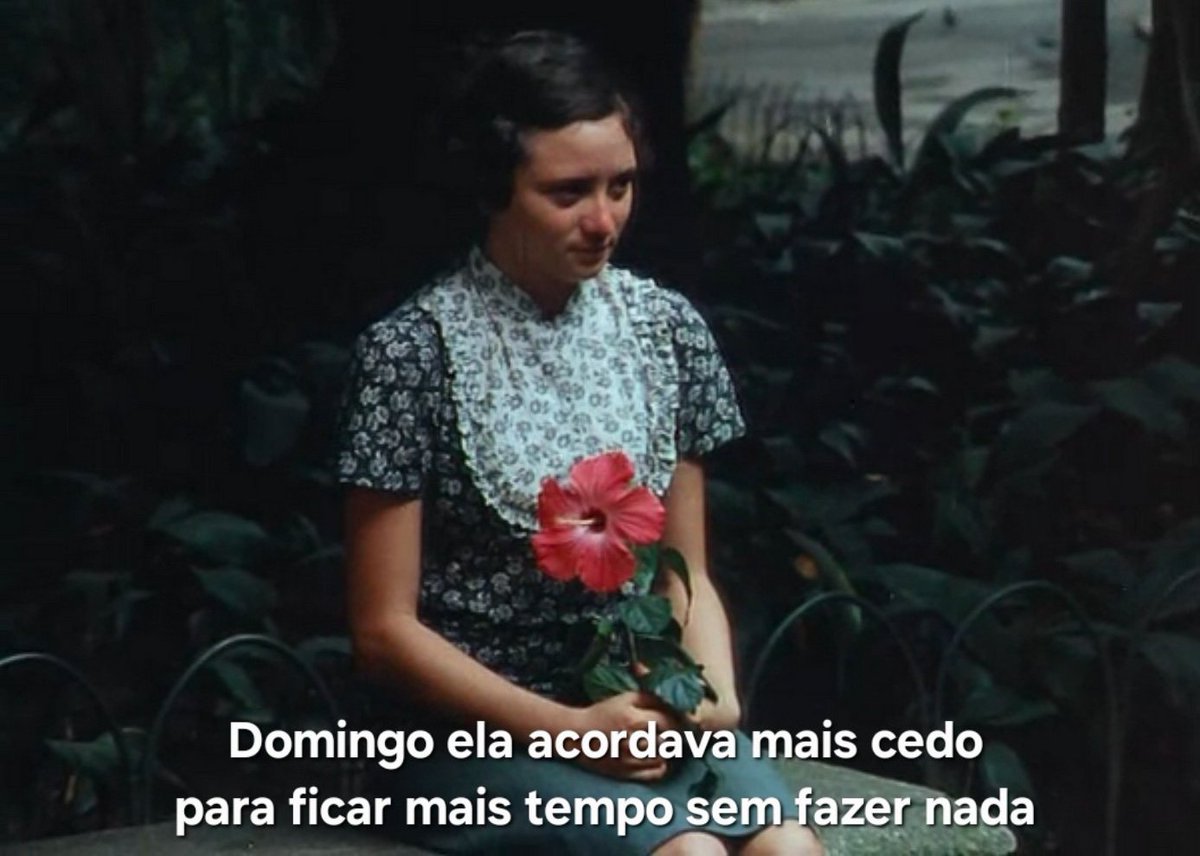 CINEMA 505 tweet media