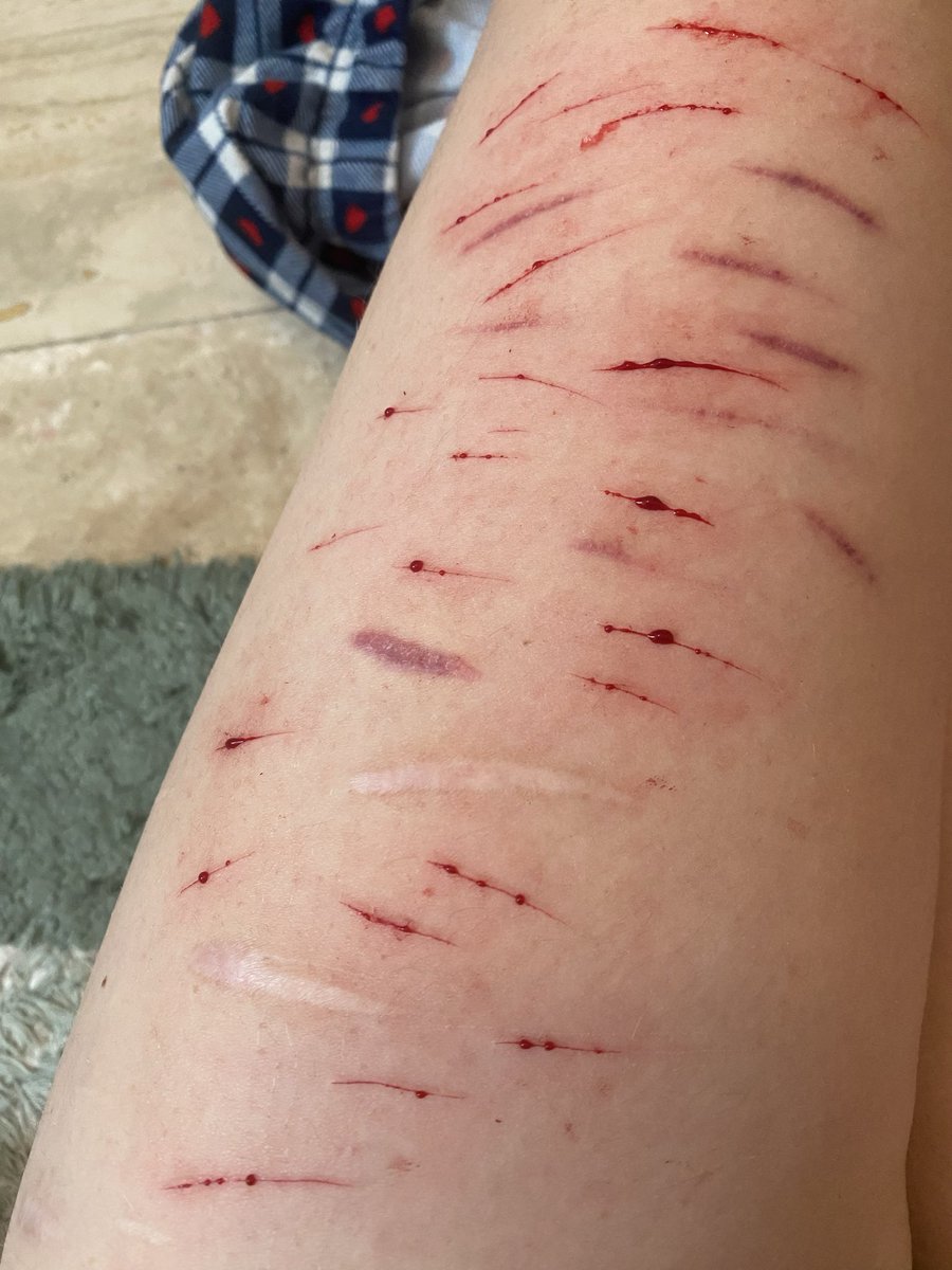 Veronika ♡ tweet media