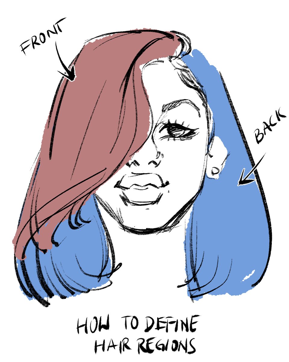 AfdsBm's tweet image. Notes on hair regions from LIVE Art Study Session 11. Join our patreon to get access to weekly/ or once a month live studies Fridays at 8PM Eastern at patreon.com/afdsbm

#arttutorial #artstudies #patreon