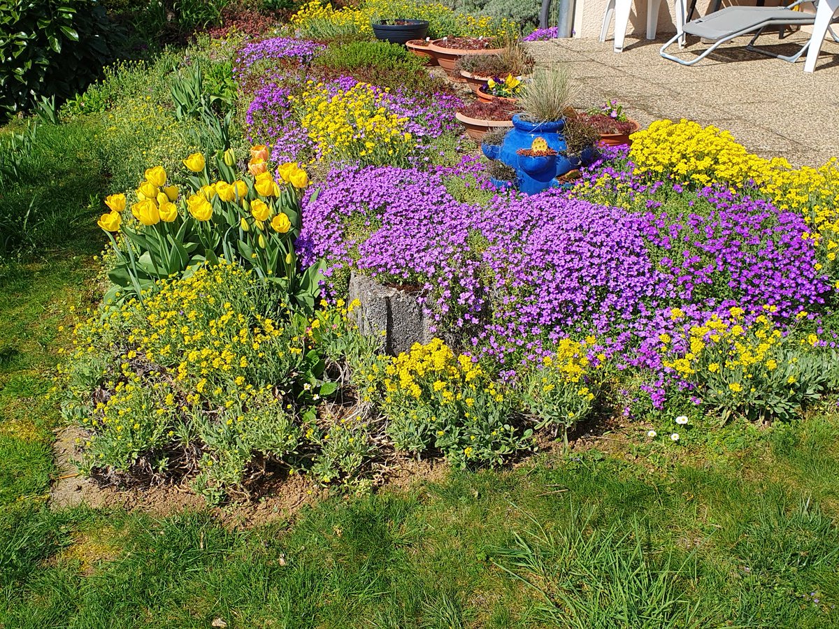 Günter Schmidt tweet media