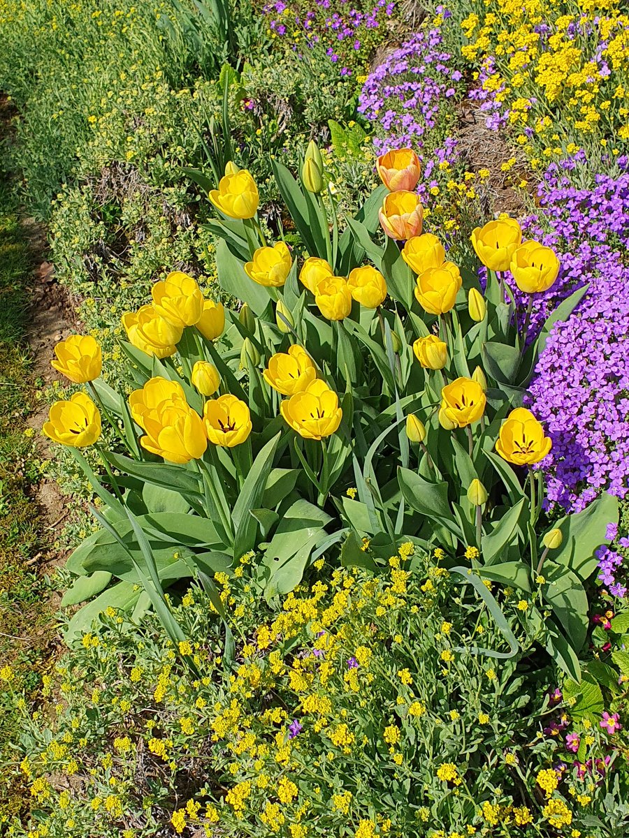 Günter Schmidt tweet media