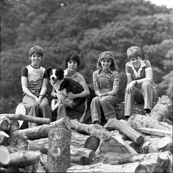 Ⓖⓔⓝⓔⓡⓐⓣⓘⓞⓝⓢ60708090📼🎙️✨ tweet media