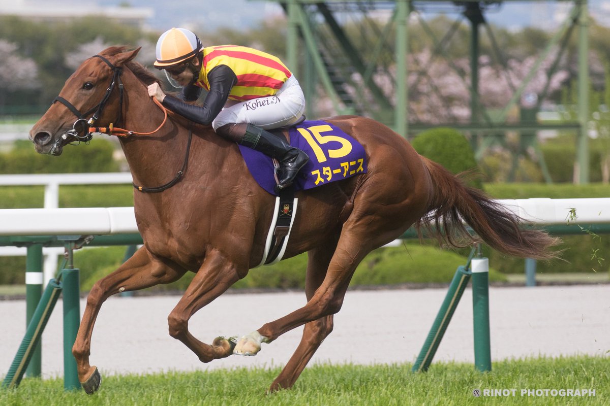 RINOT(リノ) tweet media