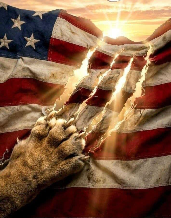 خانم رفیعی tweet media