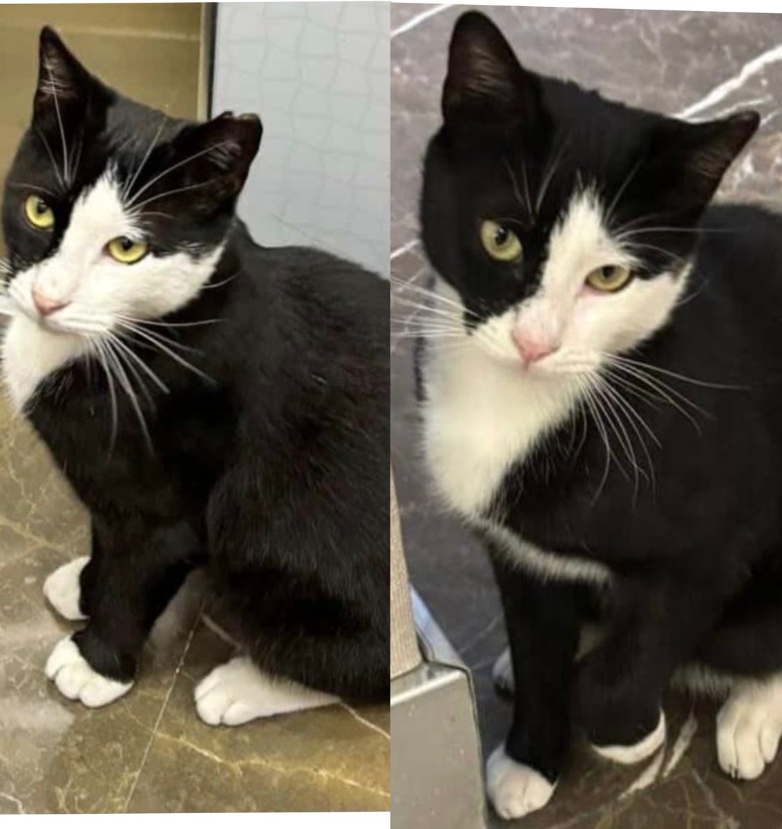 Yüksel Bayram tweet media