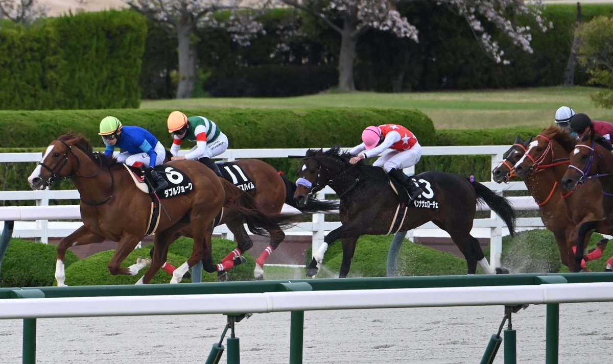 netkeiba tweet media