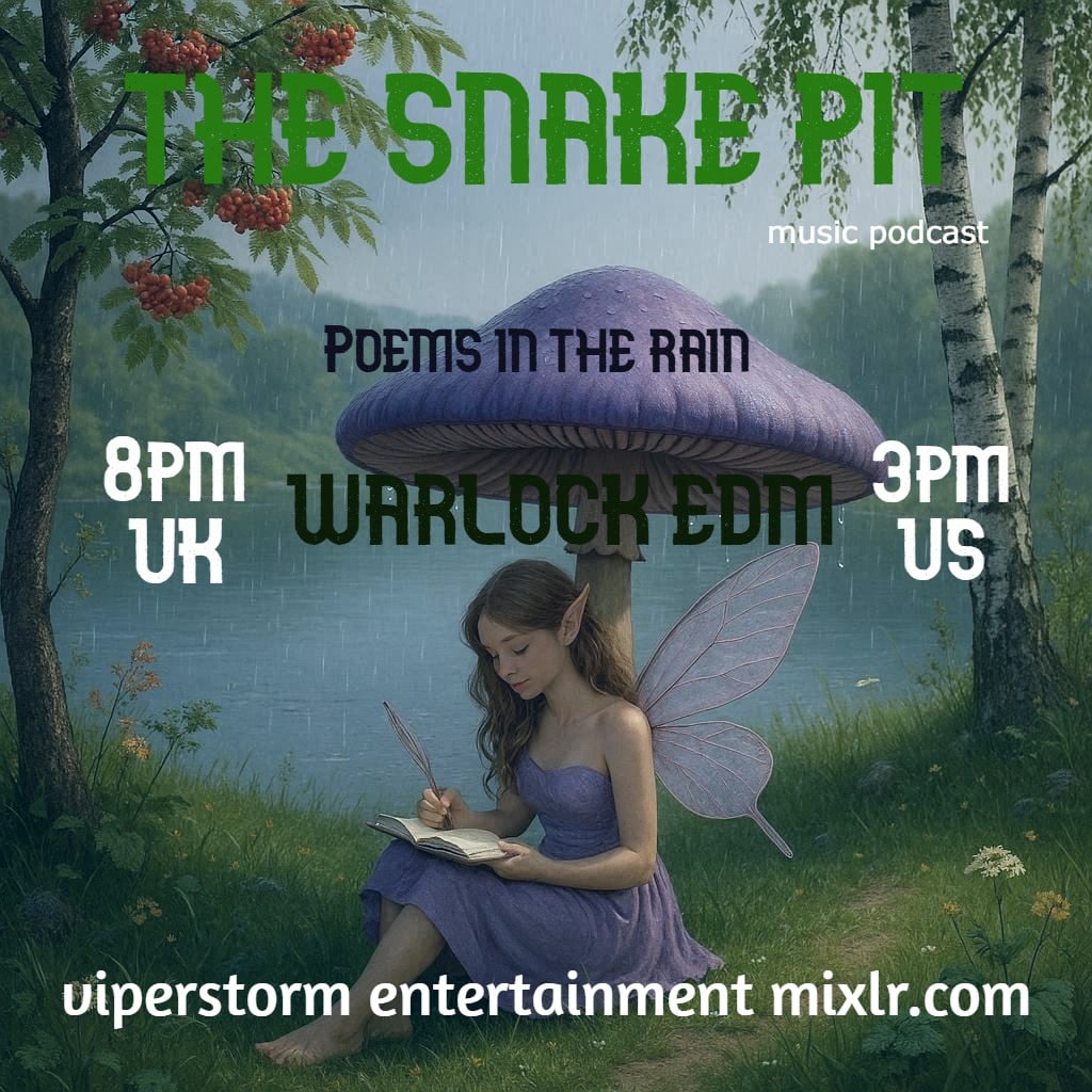 ViperStormSM's tweet image. A Fresh Sound in Music with Warlock EDM + Poem's In The Rain, Vipers New Track! Today 8pm UK 3pm US! Listen at viperstorm-entertainment.mixlr.com Mild Language Warning! Experience The Energy #paganmusic #gamingmusic #edm #moviemusic