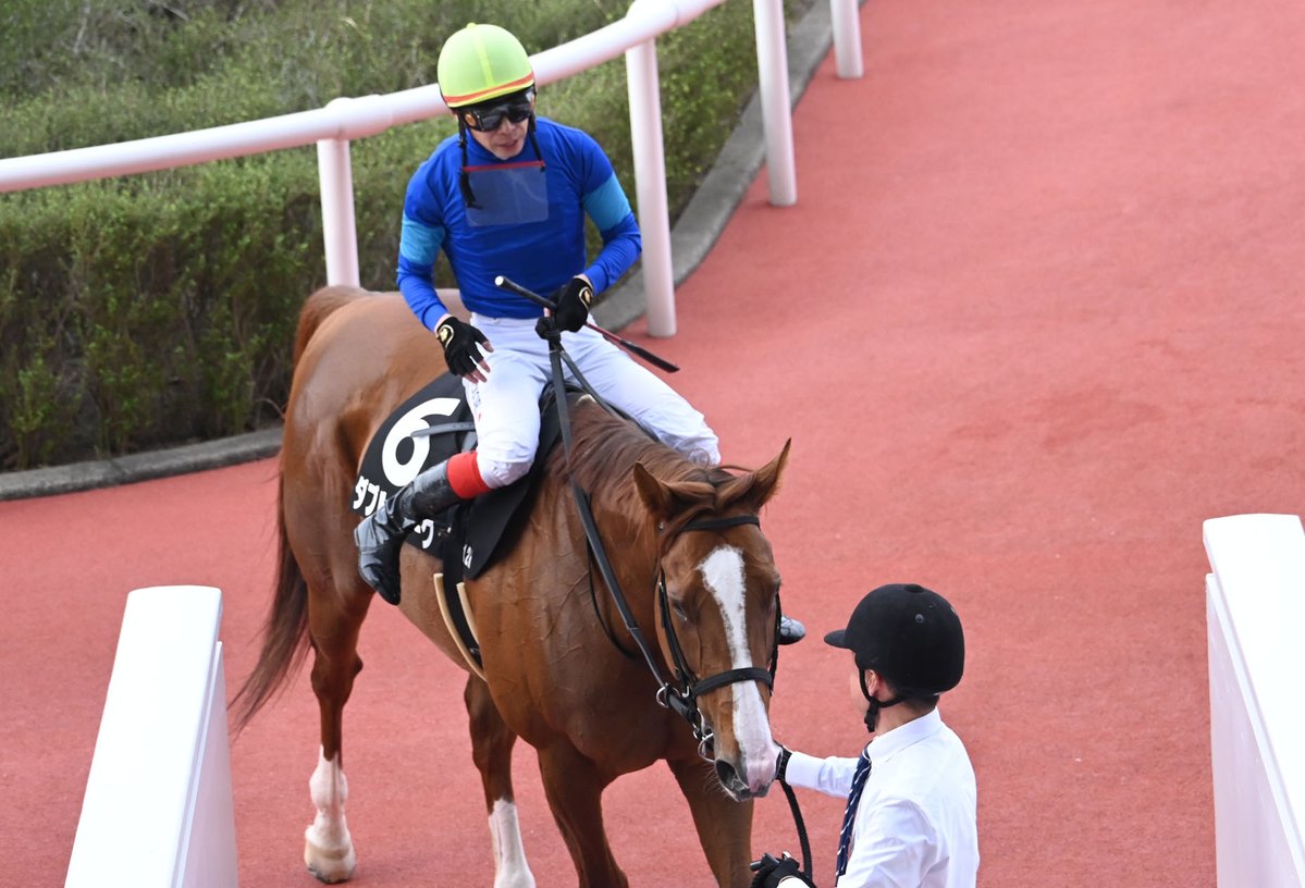 netkeiba tweet media