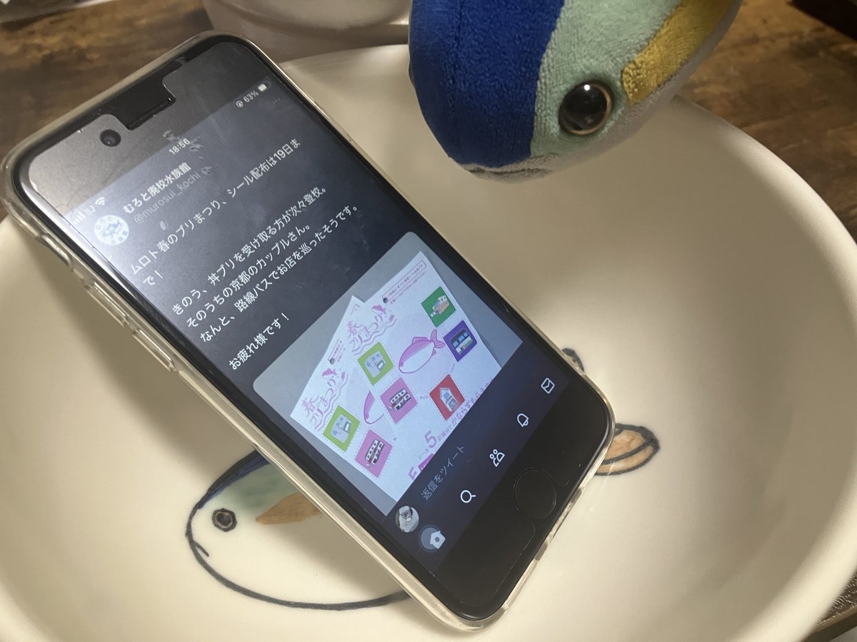 ブリ、世界だよ tweet media