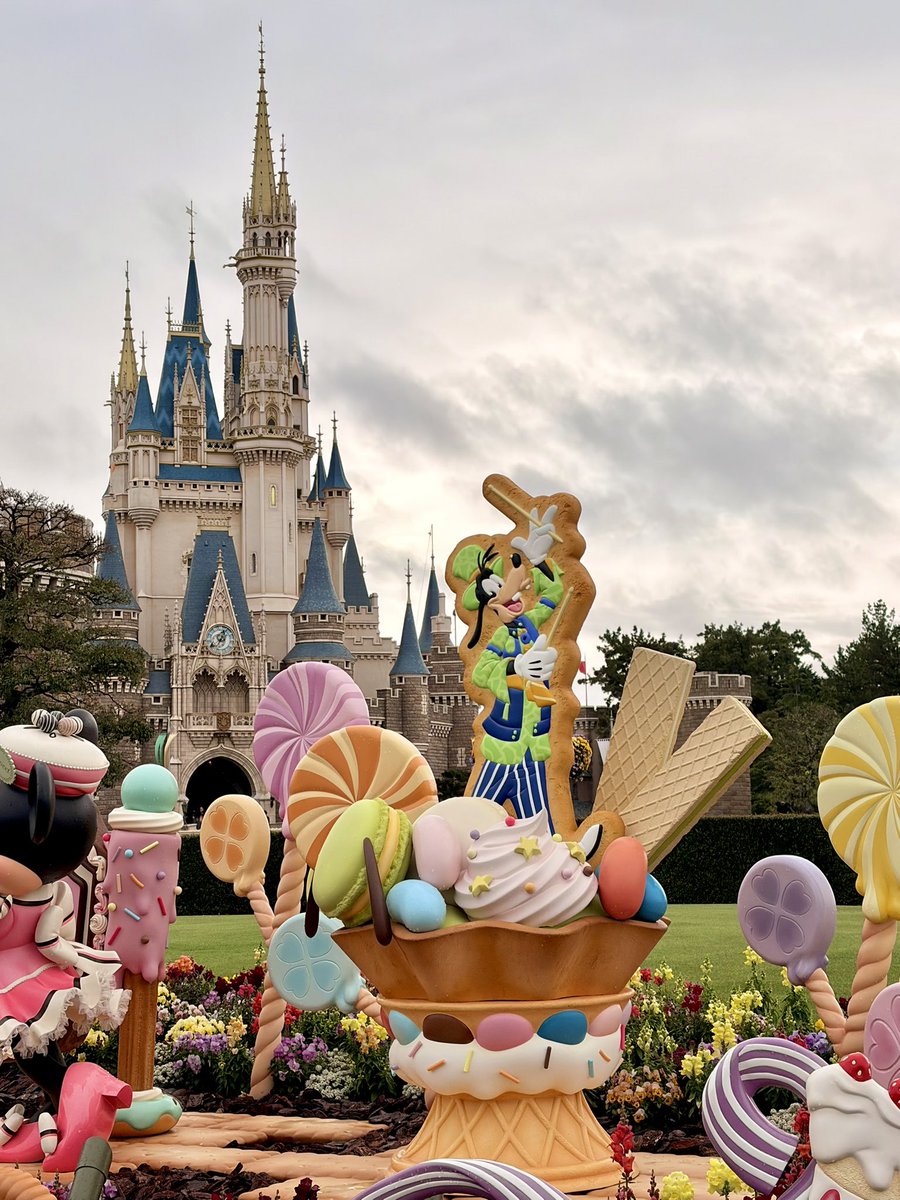 めるてぃあ🍬*⚔️ tweet media