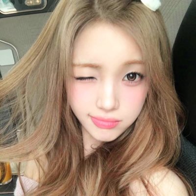 ꪔ̤̫ tweet media