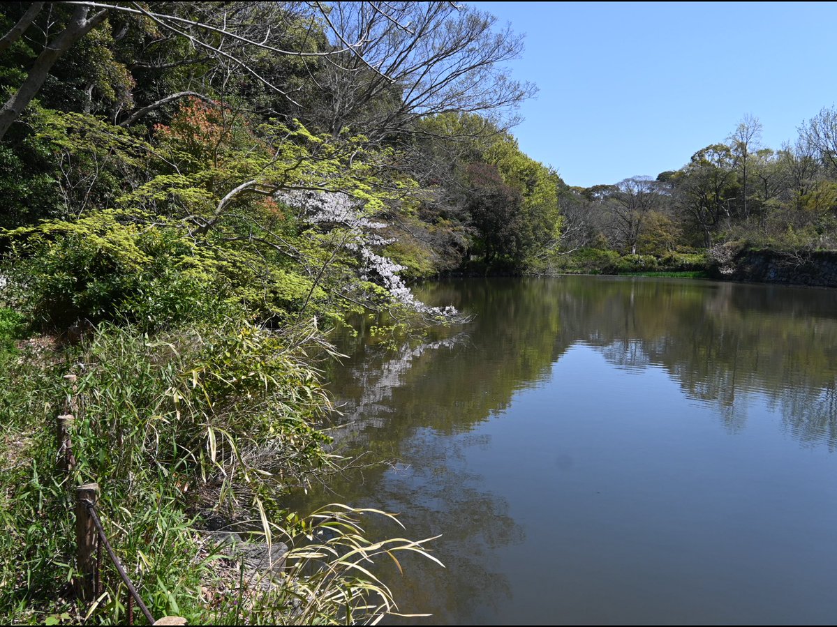 Jonathan Hiro tweet media