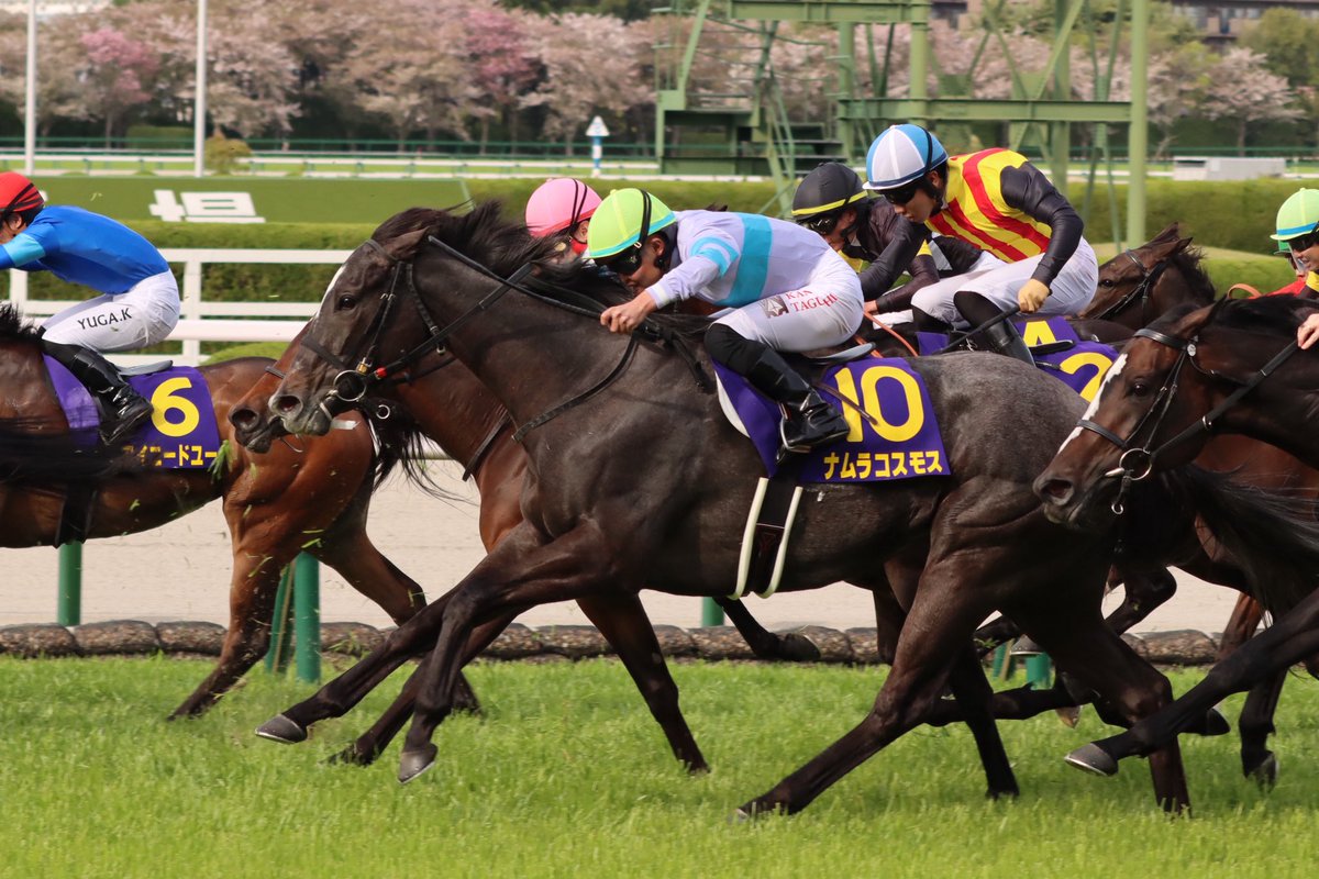 yossy2139's tweet photo. 今日の桜花賞。馬券的にはナムラコスモスに期待してたのですが…やっぱり当たらない…
#スターアニス 
#桜花賞 https://t.co/RLwyZ76nma