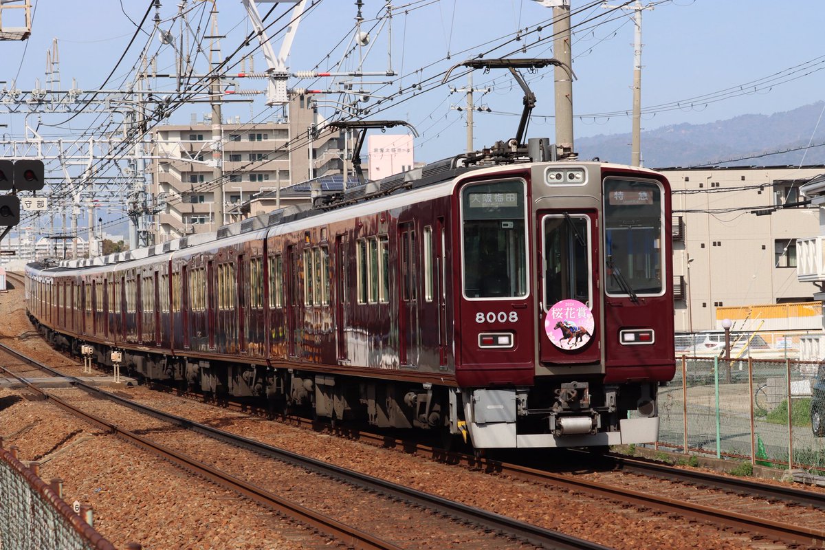 yossy2139's tweet photo. 今日の桜花賞。馬券的にはナムラコスモスに期待してたのですが…やっぱり当たらない…
#スターアニス 
#桜花賞 https://t.co/RLwyZ76nma
