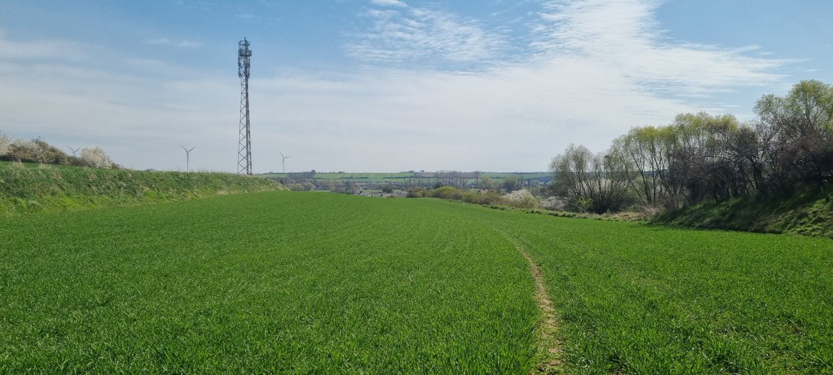 Wojciech Balcerzak tweet media
