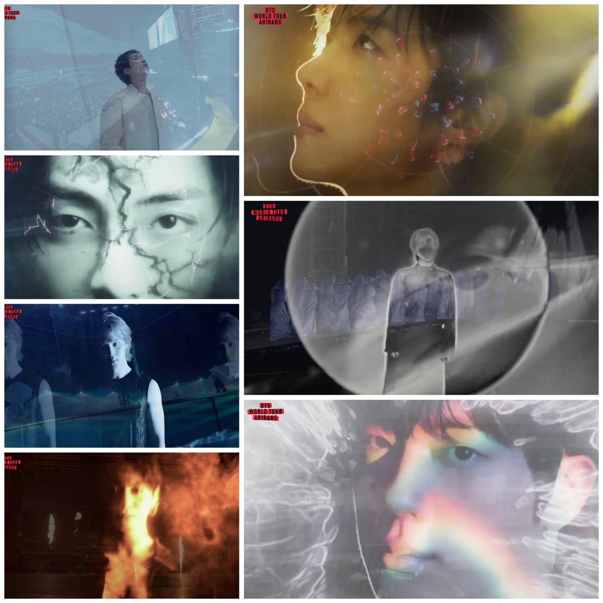 BACK THE SOUL 🪭 🦋 tweet media