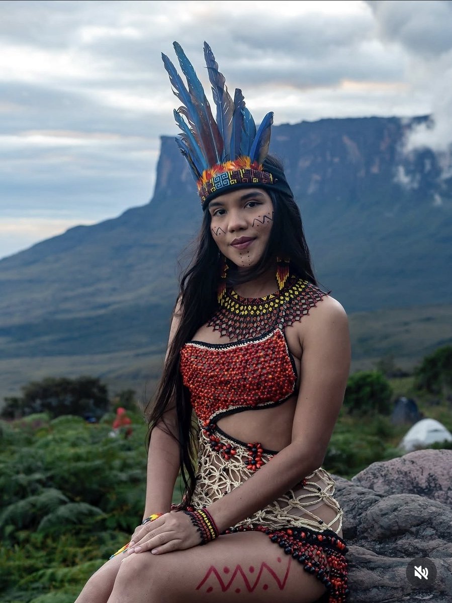 Nefarious tweet media