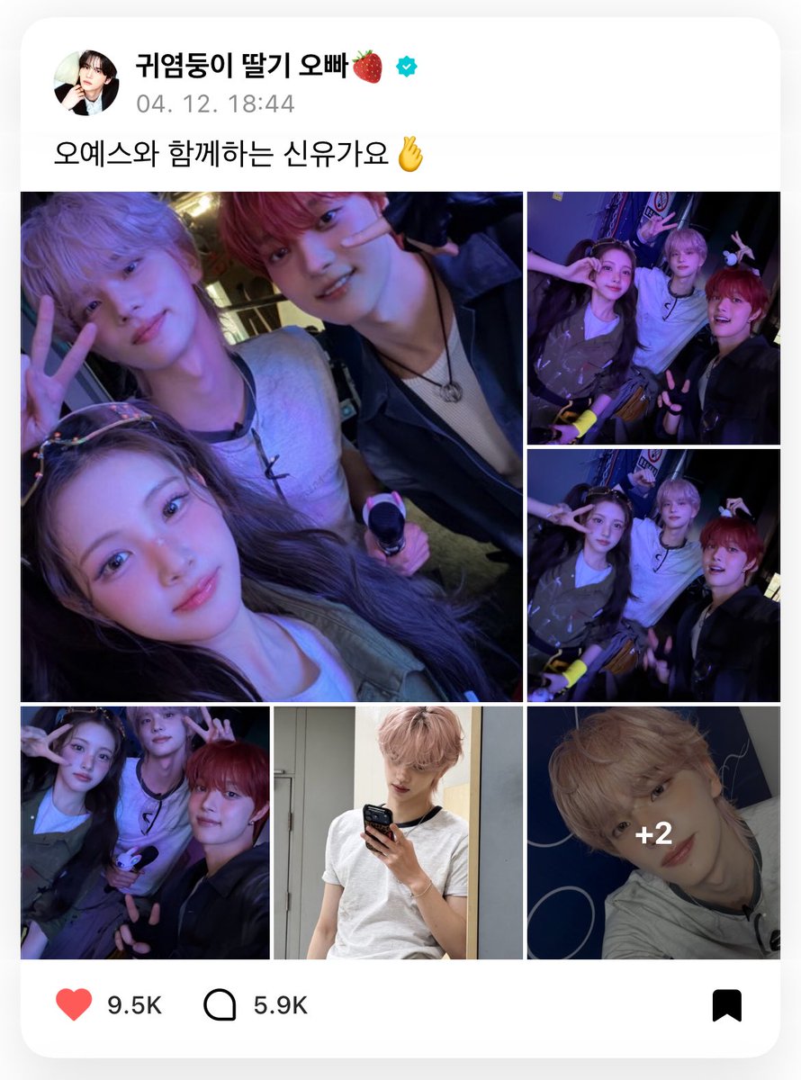 ᧔࿔᧓ tweet media