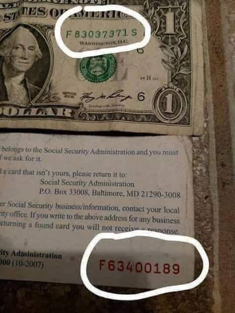 🧬Maxpein🧬 tweet media