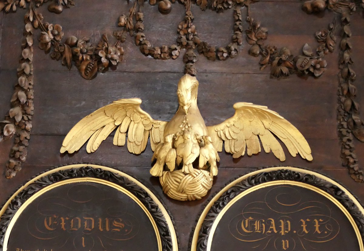 Mike Robinson tweet media